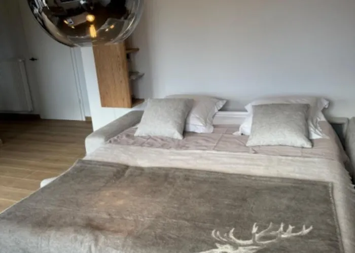 Le Havre De Paix - Proche Obernai - 4 Etoiles - Terrasse & Parking Prives Apartment *