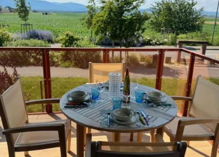 Le Havre De Paix - Proche Obernai - 4 Etoiles - Terrasse & Parking Prives Meistratzheim